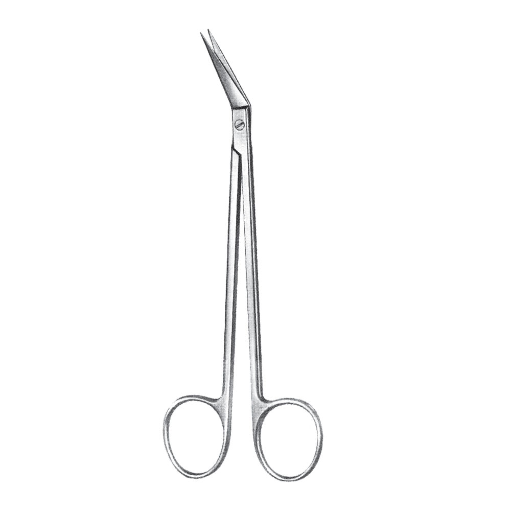 Scissor 1 Scissor