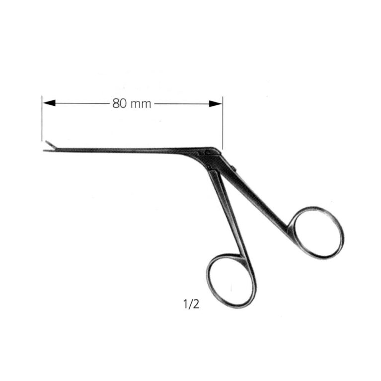 Micro Ear Forcep