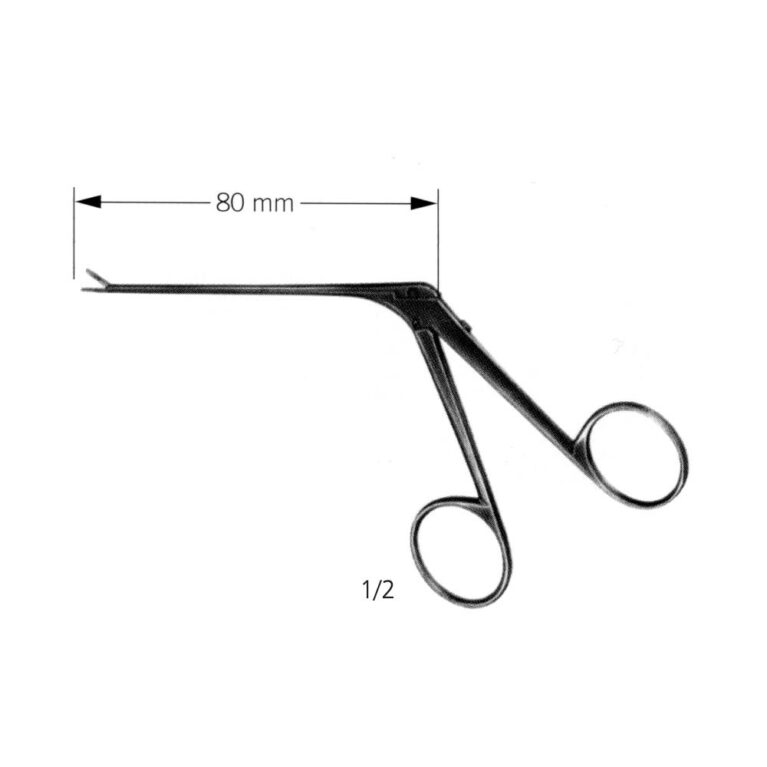 Micro Ear Forcep