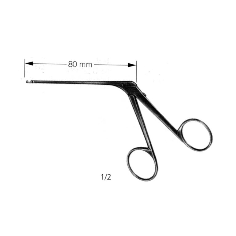 House-Dieter Micro Ear Forcep