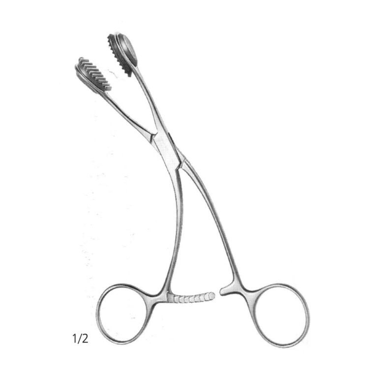 Young Tongue Holding Forcep
