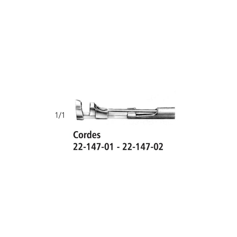 Cordes Exchangable Tip
