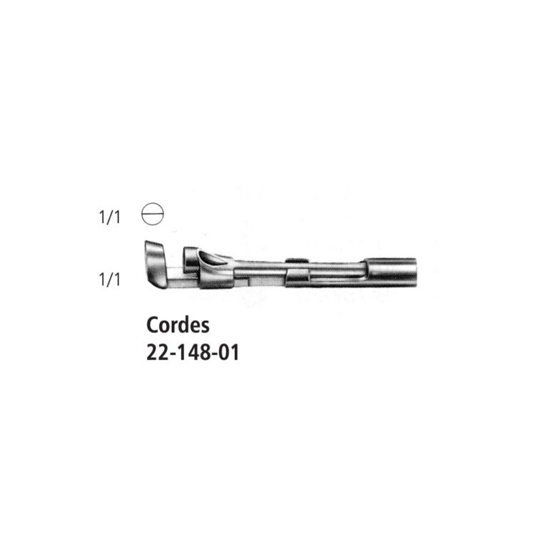 Cordes Exchangable Tip